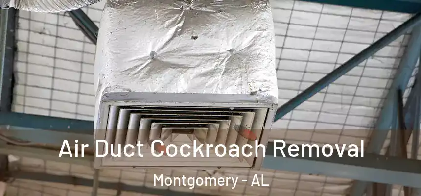 Air Duct Cockroach Removal Montgomery - AL