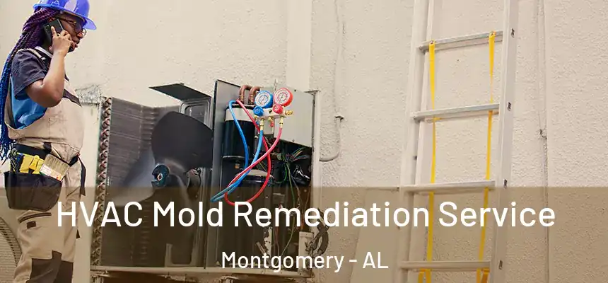 HVAC Mold Remediation Service Montgomery - AL