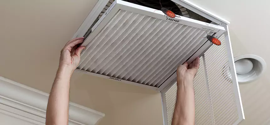 Our Insect Removal from Air Ducts Services in Montgomery, AL