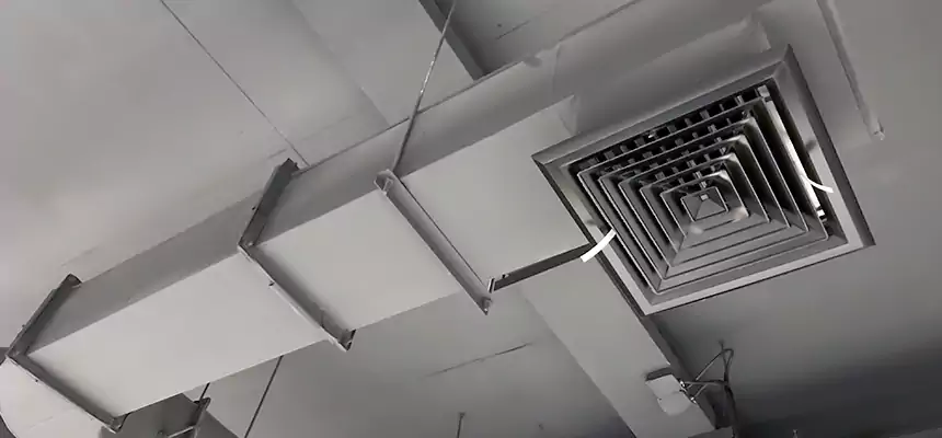 Our Pest Removal From Ducts Services in Montgomery, AL