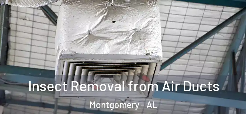 Insect Removal from Air Ducts Montgomery - AL