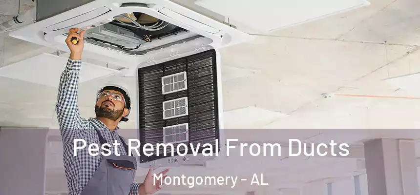 Pest Removal From Ducts Montgomery - AL