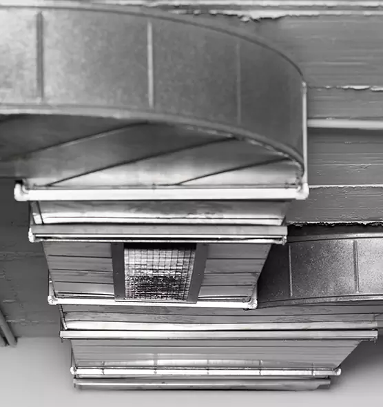 Professional Air Duct Pet Hair Removal in Montgomery, AL