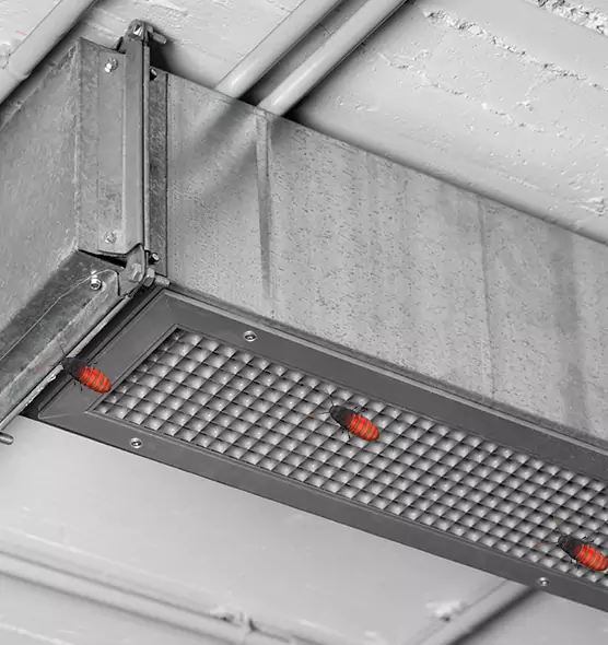 Affordable Insect Removal from Air Ducts in Montgomery, AL