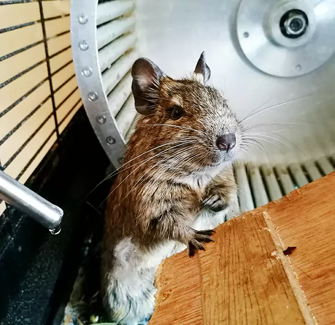 Why Homeowners & Businesses Trust Us Montgomery, AL